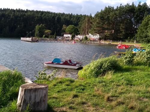a small boat sitting on the side of a lake at Apartament Nad Jeziorem Kaszuby in Gołubie