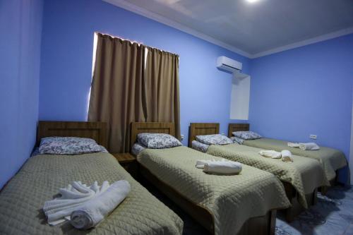 Gallery image of Canyon Hotel in Martvili