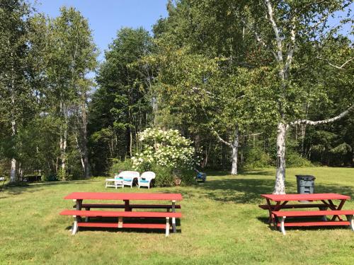 two picnic tables and two chairs in a park at Snowdon Chalet Motel in Londonderry