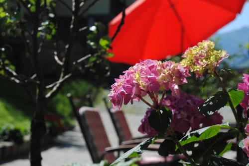 a table with purple flowers and a red umbrella at Naturhaus Andrea in Grossarl