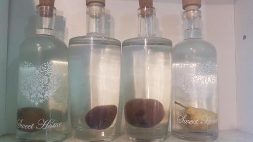 four bottles with apples in them on a shelf at Delia in Ocna Şugatag