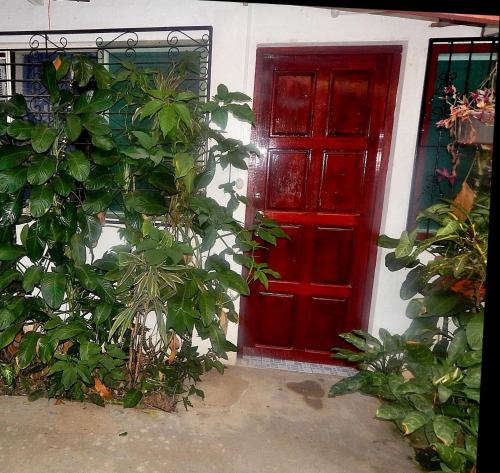 eine rote Tür in einem weißen Gebäude mit Pflanzen in der Unterkunft Rositas Hotel in San Juan del Sur