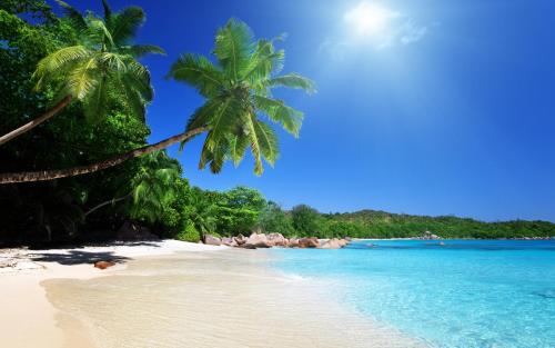 una spiaggia con palme e acqua blu di Lake View Villa a Mirissa