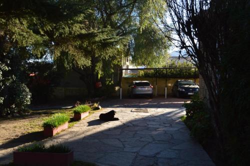 Κήπος έξω από το Hotel Uritorco
