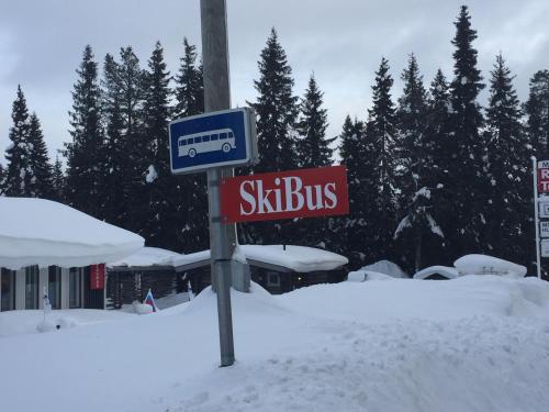 Rukansalmi pozimi