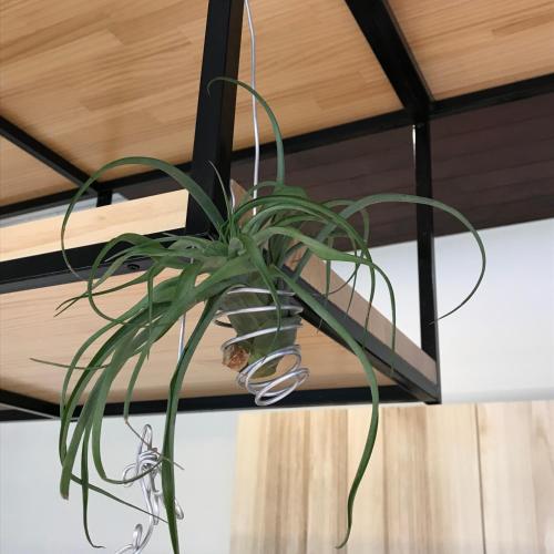 Imagen de la galería de Chi Chu B&B, en Taitung
