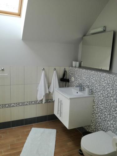 a bathroom with a sink and a toilet and a mirror at Namelis prie marių in Nida