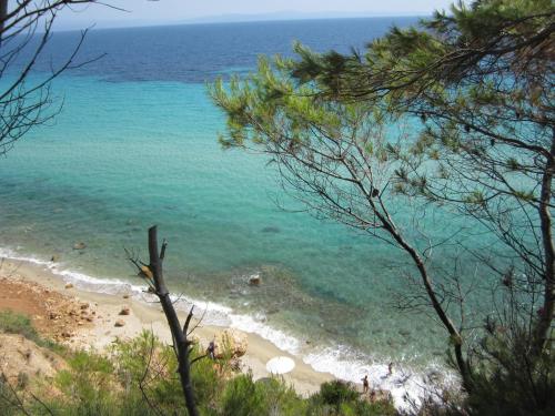 a view of the ocean from a hill with trees at Petra in Afitos