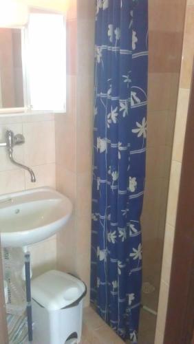 a bathroom with a sink and a toilet and a shower curtain at Penzion U Antonickova Pramene in Mariánské Lázně