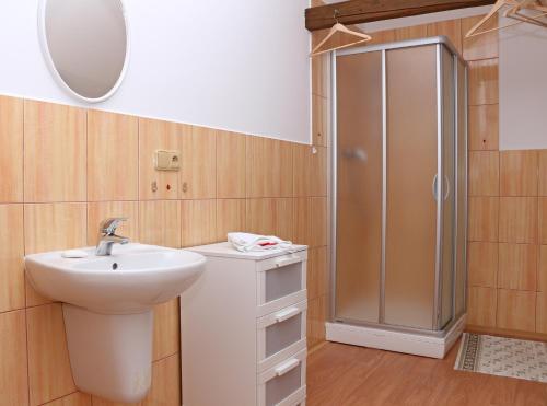 a bathroom with a sink and a shower at Chaloupka Slaměnka in Loučná pod Klínovcem