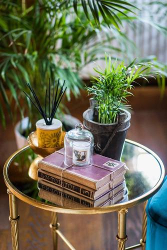 a glass table with books and potted plants on it at Villa Botanica in Mirkovec