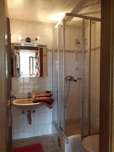 a bathroom with a shower and a sink at Haus Morgensonne in Pettneu am Arlberg