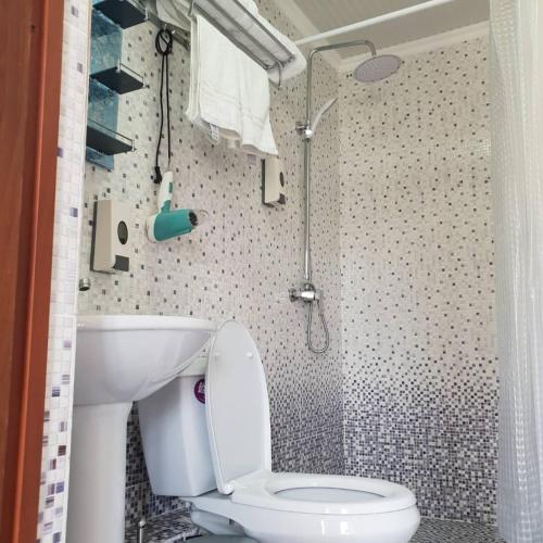 a small bathroom with a toilet and a shower at Datka Guest House in Naryn