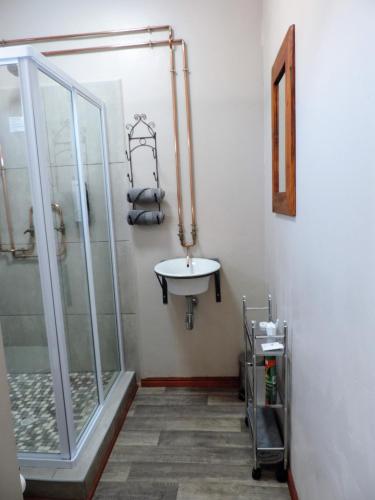 a bathroom with a shower and a sink at Teri-Lemveli Lodge in Beaufort West