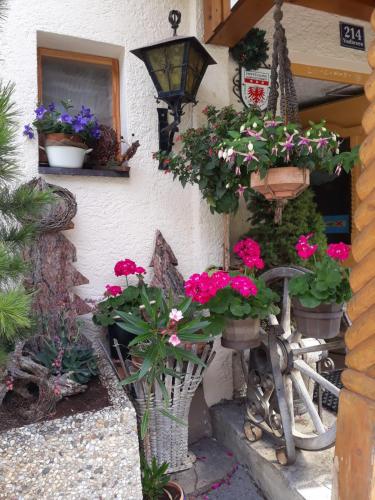 a bunch of flowers in pots on the side of a house at Haus Morgensonne in Pettneu am Arlberg