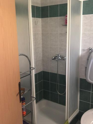 ein Bad mit einer Dusche, einem Waschbecken und einem WC in der Unterkunft Apartman Ylli in Nečujam