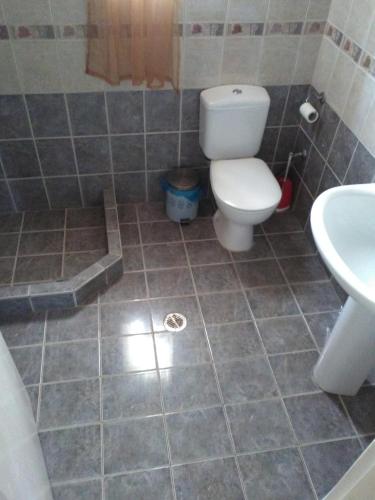 a bathroom with a toilet and a sink at Klidonas Apartments in Akrogiali