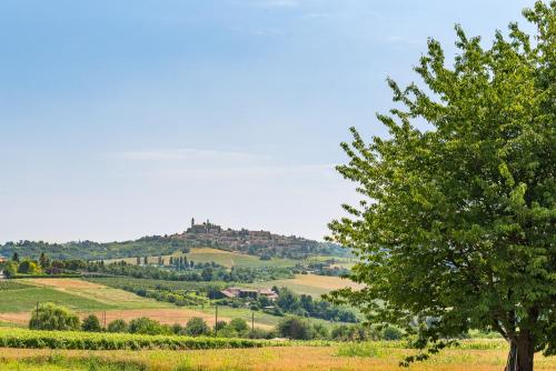 Ein Baum auf einem Feld mit einem Schloss auf einem Hügel in der Unterkunft Belcasale in Vignale
