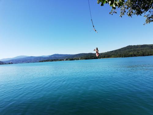 a person jumping into a large body of water at Haus Wolfgang in Reifnitz