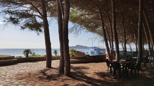 a park with trees and a table and chairs at Casa Sa serra in Lotzorai