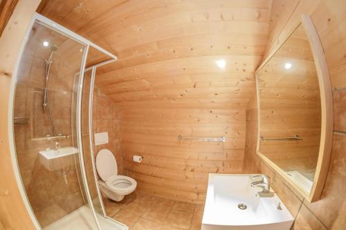 a bathroom with a shower and a toilet and a sink at Guest House du Grand Paradis - On Piste in Champéry