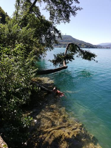 a person swimming in a body of water at Haus Wolfgang in Reifnitz