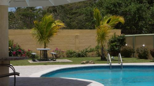 una piscina en un patio con palmeras en Driftwood 85 en Canaan