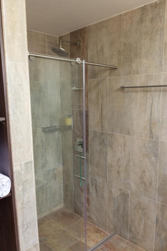 a shower with a glass door in a bathroom at Los Vagones de William in Tibasosa