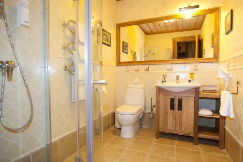 a bathroom with a toilet and a sink and a shower at Vila Dubgiris in Plinkšės