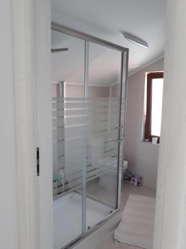 a glass shower stall in a bathroom with a ceiling at Casa Sannicolau in Sînnicolau Mare