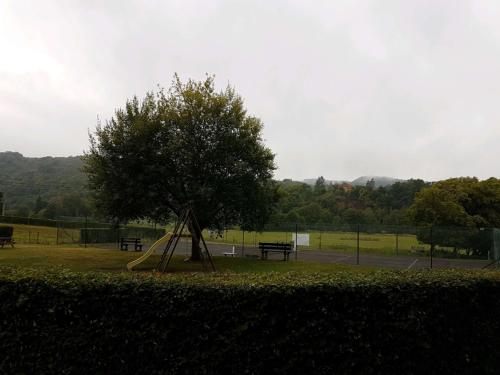 a playground with a tree and a bench in a park at Ardennes in Rendeux