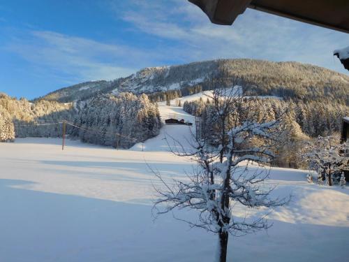 a tree in the snow with a mountain in the background at Ferienhaus Obwallhof in Fieberbrunn