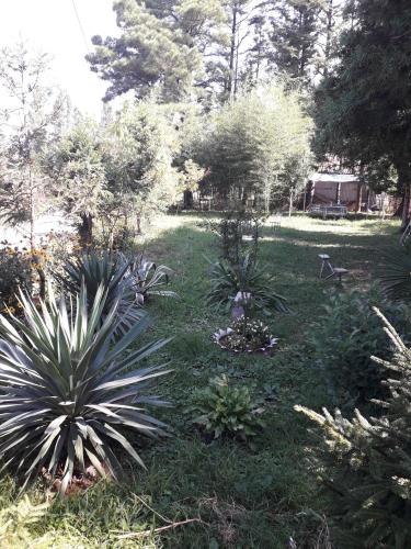 Zahrada ubytování Guesthouse Achi