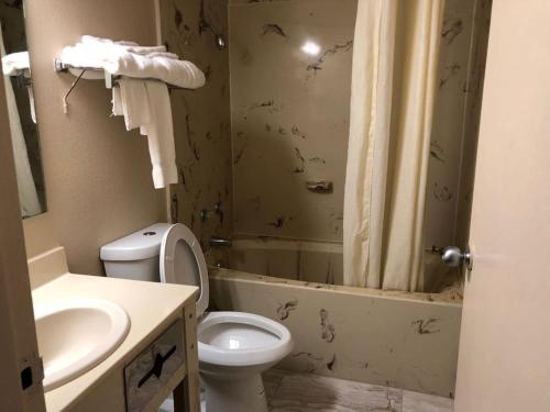 ein Bad mit einem WC, einem Waschbecken und einer Dusche in der Unterkunft Briarwood Inn in Pine Bluff