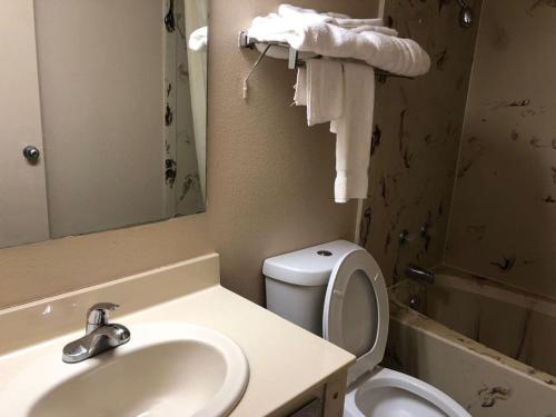 ein Badezimmer mit einem Waschbecken, einem WC und einem Spiegel in der Unterkunft Briarwood Inn in Pine Bluff