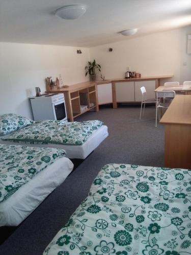 a hotel room with two beds with green sheets at Ubytování v Anenském údolí in Linhartice