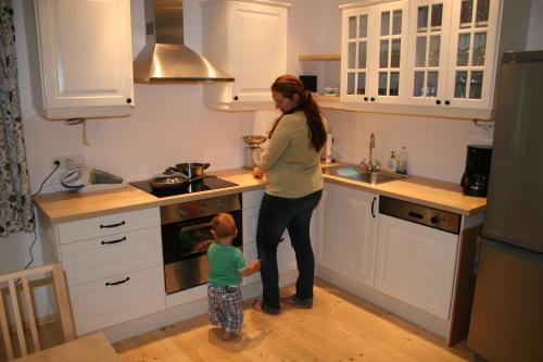 Η κουζίνα ή μικρή κουζίνα στο Ferienhaus Ampflwang