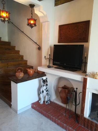 a dog sitting in a living room with a tv at Casa Malo' in Ischia