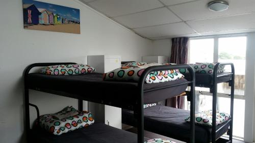 three bunk beds in a room with a window at Loft 109 Backpackers Hostel in Tauranga
