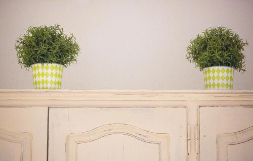 two plants in vases sitting on top of a cabinet at Penelope Corfu Suite in Corfu Town