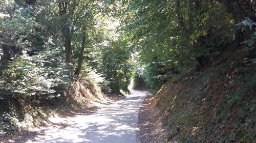 Φωτογραφία από το άλμπουμ του Au Fil des Rêves σε Rèves