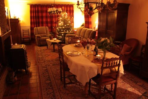 a living room with a table with a christmas tree at B&B Sol Magnus in Stavelot