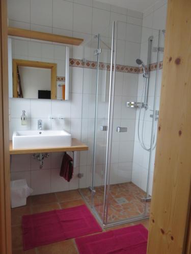 y baño con lavabo y ducha. en Fraenkischer Hof en Zeitlofs