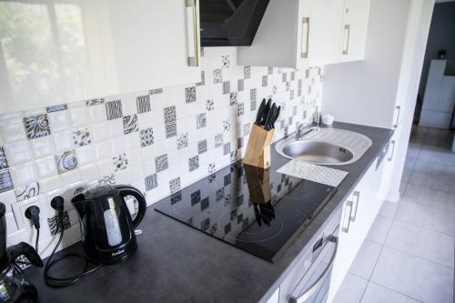 uma cozinha com um lavatório e um balcão com uma faca em MSapartamenty Centrum 2 em Poznań
