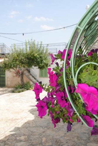 a bunch of pink flowers hanging from a bench at Aria di Casa Country Resort in Alberobello