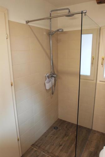 a shower with a glass door in a bathroom at Casa Colloredo Free Parking in Rovinj