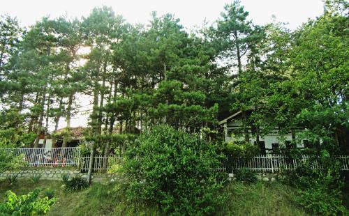 a house behind a fence with trees at Guest House Keserovic in Vinci