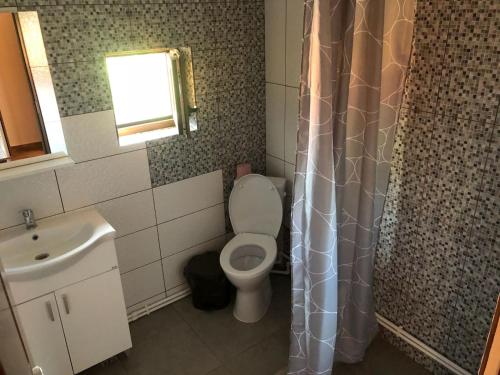 ein Bad mit einem WC und einem Waschbecken in der Unterkunft Pensiunea Cosmin in Corbu
