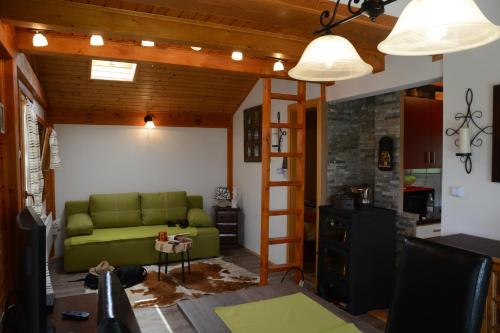 ein Wohnzimmer mit einer grünen Couch und einem Kamin in der Unterkunft Studio ALPIKA in Luče