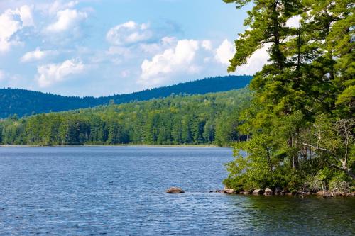 Brown Moose Acres – Photos 5